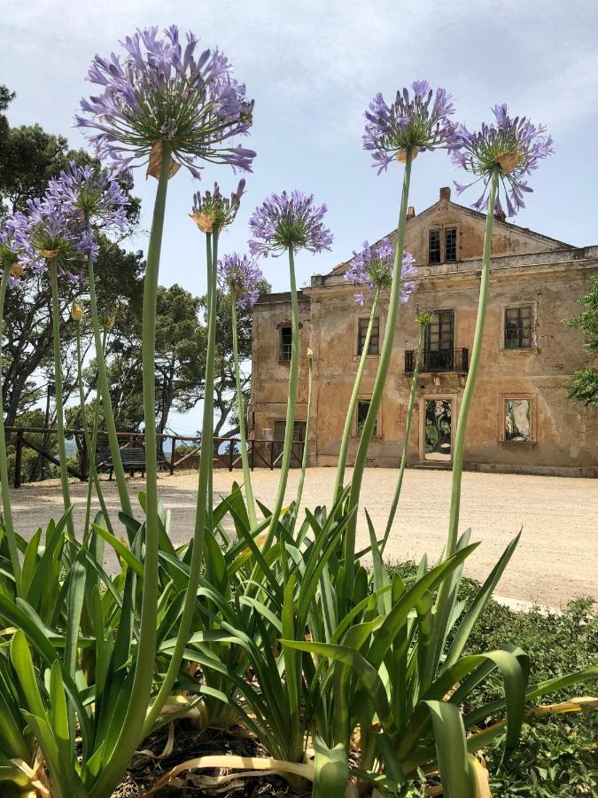 Aragonite Azzurra Casa Vacanza Gonnesa Luaran gambar